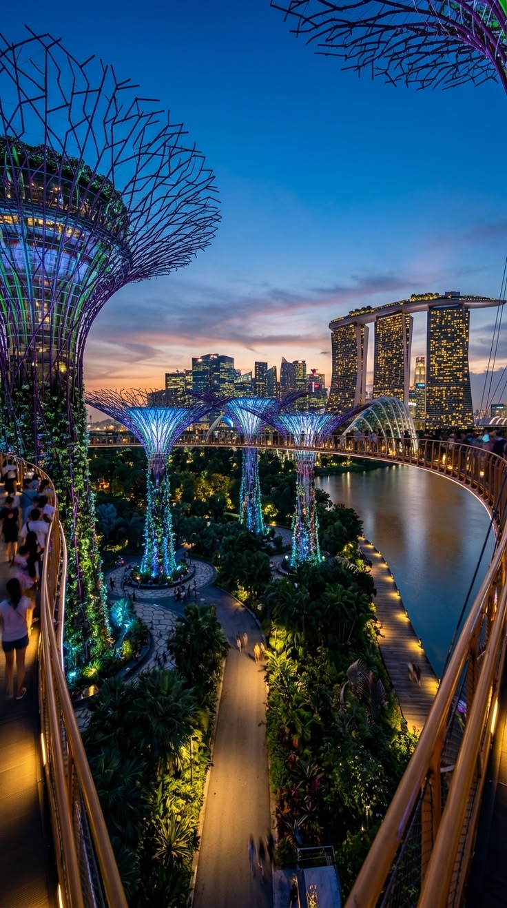 Singapore Expedition